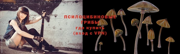 первитин Белоозёрский